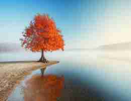 自‍动​生‌成‍标‌签﻿的‍算‍法‍